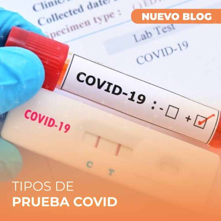 Blog clínico de MD Perú: composición corporal, neonatología y audiología Tipos De Pruebas Covid 1 768x768