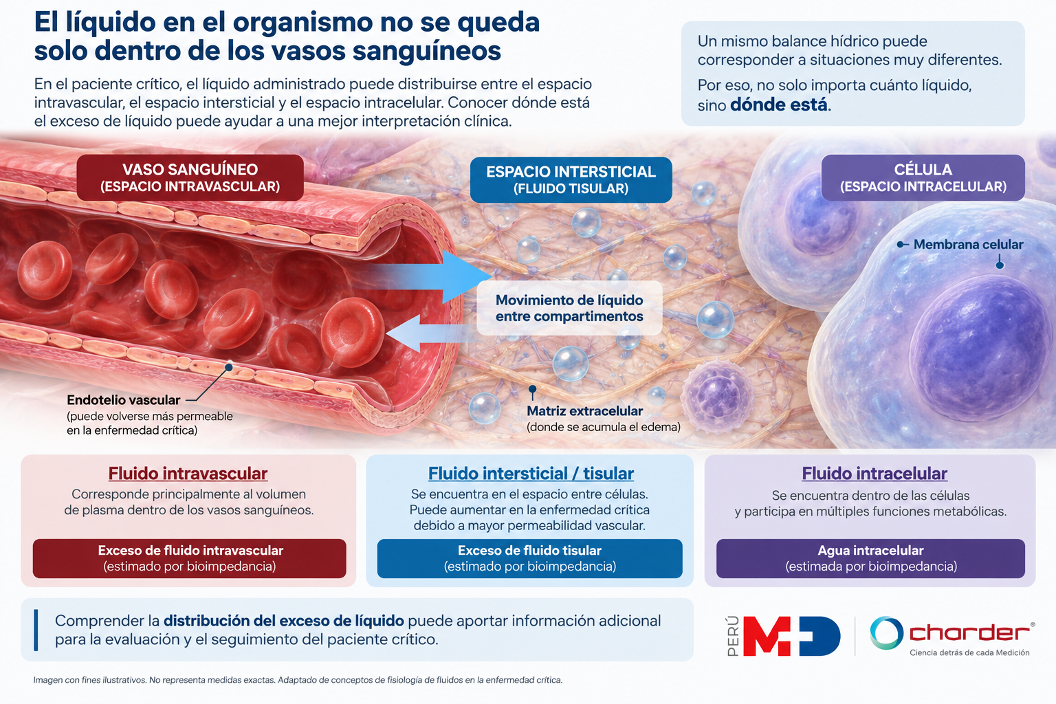 Bioimpedancia multifrecuencia para manejo de fluidos en UCI